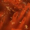 Fossils point to life on Earth 4 billion years ago