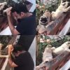 Watch: Akshay wrestling a pack of pups is the most adorable thing you'll see today