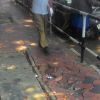 Rats feeding on waste destroy Thiruvananthapuram footpaths