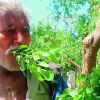 Pakistani man survives on leaves for 25 years, hale and hearty