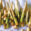 Badagas go gaga over tender bamboo shoots