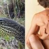 Genitals of poached monitor lizards being used to increase sex drive in India