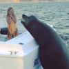 Video: Gigantic sea lion jumps on moving boat after spotting this
