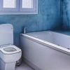 Flush after use! Thief leaves toilet dirty, US police uses faecal DNA to find him