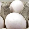 EU: 17 nations get tainted eggs, products in growing scandal