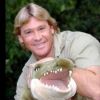 Here’s how Steve Irwin could have been saved