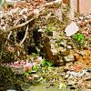 Guest column: Alert! BBMP demolition rubble will cause flooding