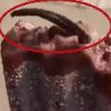 Video: Chinese woman shocked to find dead rat's tail sticking out of ice cream