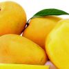 An Ode to Mangoes!