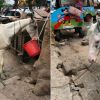 Following PETA alert, Mumbai cops rescue two wounded, malnourished horses