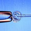 Bizarre: Half human-half chicken embryos created in lab