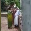 In video, Kolkata woman beats up mother-in-law for plucking flower