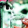 Indian plant seed can bring clean water