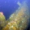 Shipwreck from WWII battle in America found off Alaska