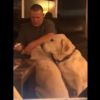 Watch: Man pretends to give one of his 2 dogs ear drop so he doesn't feel left out