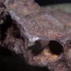 Rock used as door stop for 30 years turns out to be meteorite worth $100,000