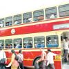 ‘Double-decker’ buses turn popular