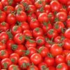 Anantapur: Tomato, onion prices plunge