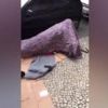 Video: Homeless couple caught having sex in the street