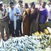 Brisk sales of pesticide-free veggies on prison premises in Thiruvananthapuram