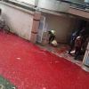 Waterlogging leads to 'bloody' streets in Dhaka on Eid