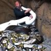 Video: Man jumps in a cage full of pythons, what happened next is shocking