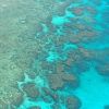 Damage to Great Barrier Reef costs ship owner $30 million