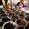 South Korea wants to promote edible insects to increase agricultural income