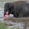 Video: Baby elephant hurries to save human friend from ‘drowning