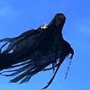 Video: Man puts dementor on drone to scare people on halloween