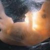 Tamil Nadu: 3 foetuses found in drainage channel in Tiruchirappalli