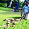 Visakhapatnam: Snake savers urge officials to provide employment