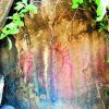 Group claims discovery of rock paintings near Medak