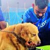 23 sniffer dogs on guard for first England ODI
