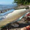 Message in bottle from Englishman found on New Jersey beach