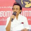 People have not accepted Sasikala's elevation as Tamil Nadu CM: MK Stalin