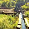 Water released from Kamaraj Sagar for wildlife needs