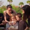 Angelina Jolie, kids enjoy 'tasty' spiders, crickets and tarantulas in Cambodia