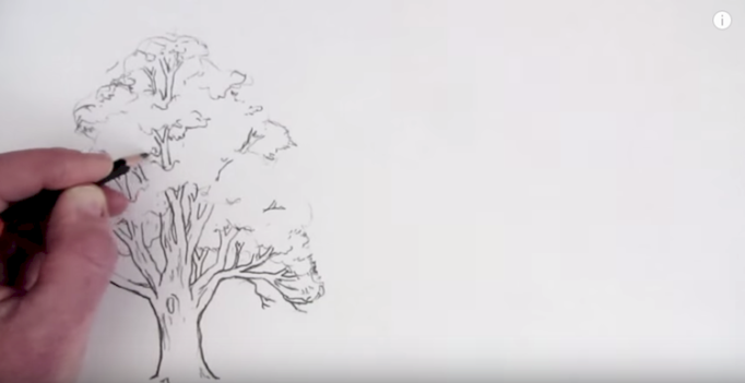 Want To Draw Trees That Don’t Look Like Broccoli? Check Out This AMAZING Demo