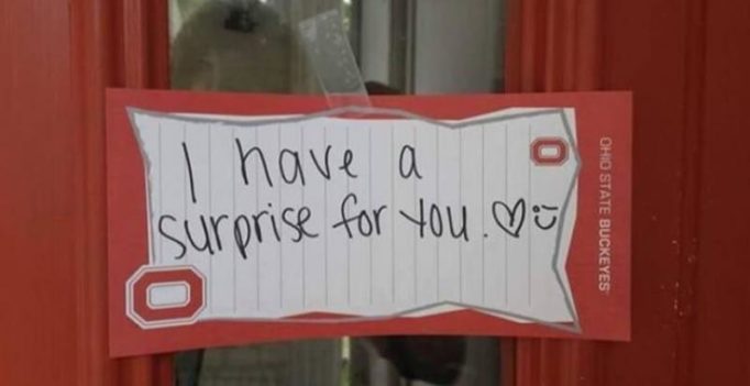 This man’s surprise for his girlfriend took an unexpected turn