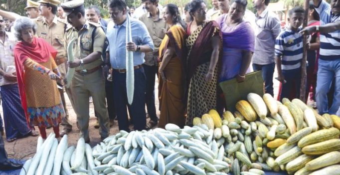 Brisk sales of pesticide-free veggies on prison premises in Thiruvananthapuram