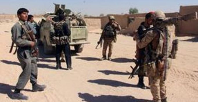 Afghan forces seize Pakistan truck laden with 1,000 kg of explosives