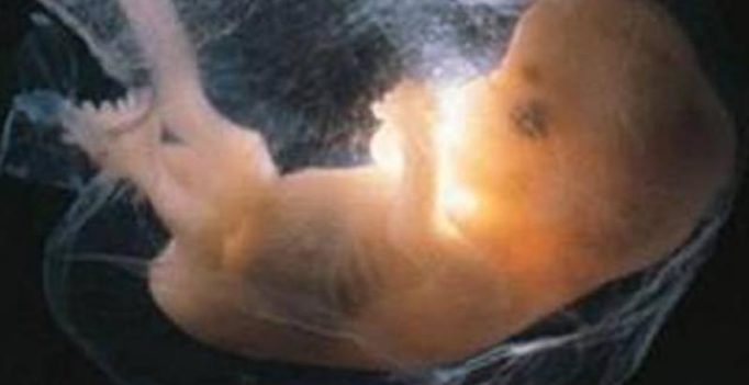 Tamil Nadu: 3 foetuses found in drainage channel in Tiruchirappalli