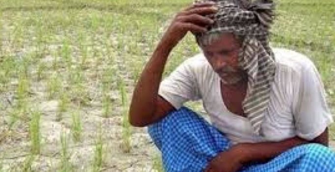 Crop loss: Another farmer dies in Nagai