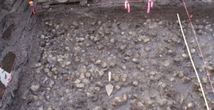 Almost 3800-year-old underwater potato garden discovered in Canada