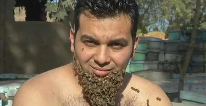 Egyptian man grows ‘Beard of Bees’, hopes to promote apian benefits