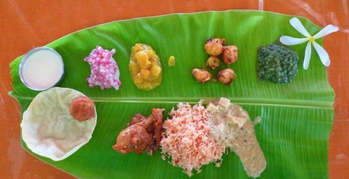 German company goes the Indian way; produces plates made of leaves