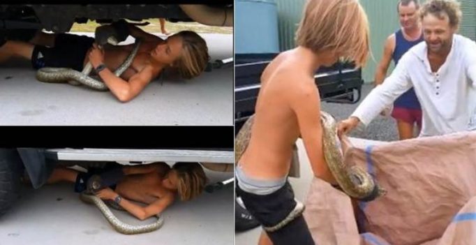 Teen rescuing huge snake with bare hands will leave you stunned