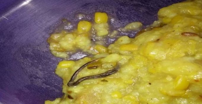 Haryana: Baby snake found in govt school’s mid-day meal