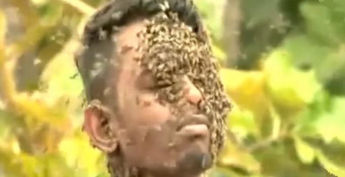 Video: Kerala man covers his face with 60,000 stinging bees